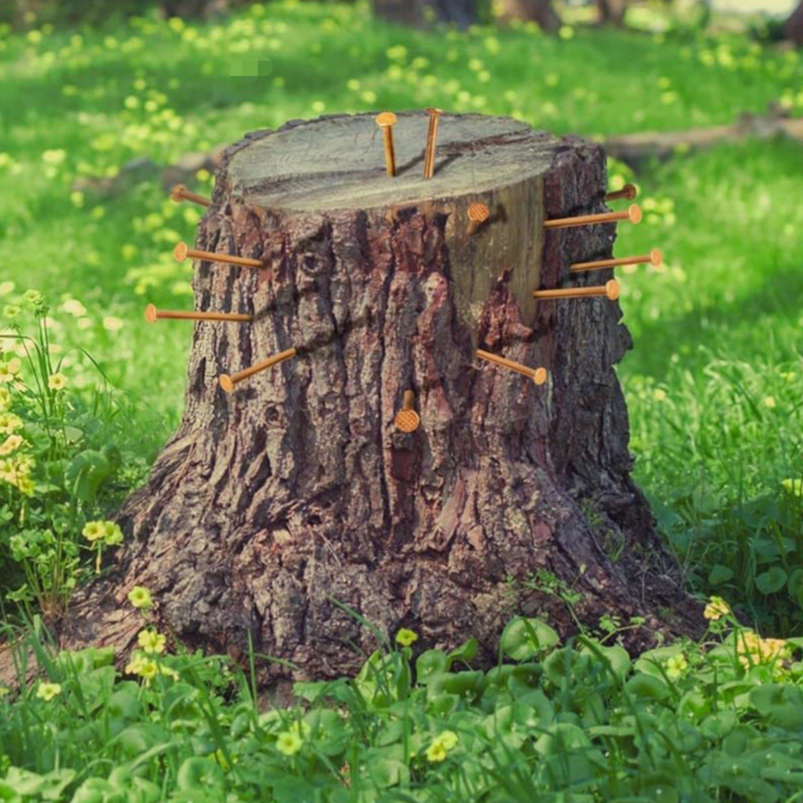 Tree Stump Nails Professional  - Heavy Equipment Landscaping recension och pris