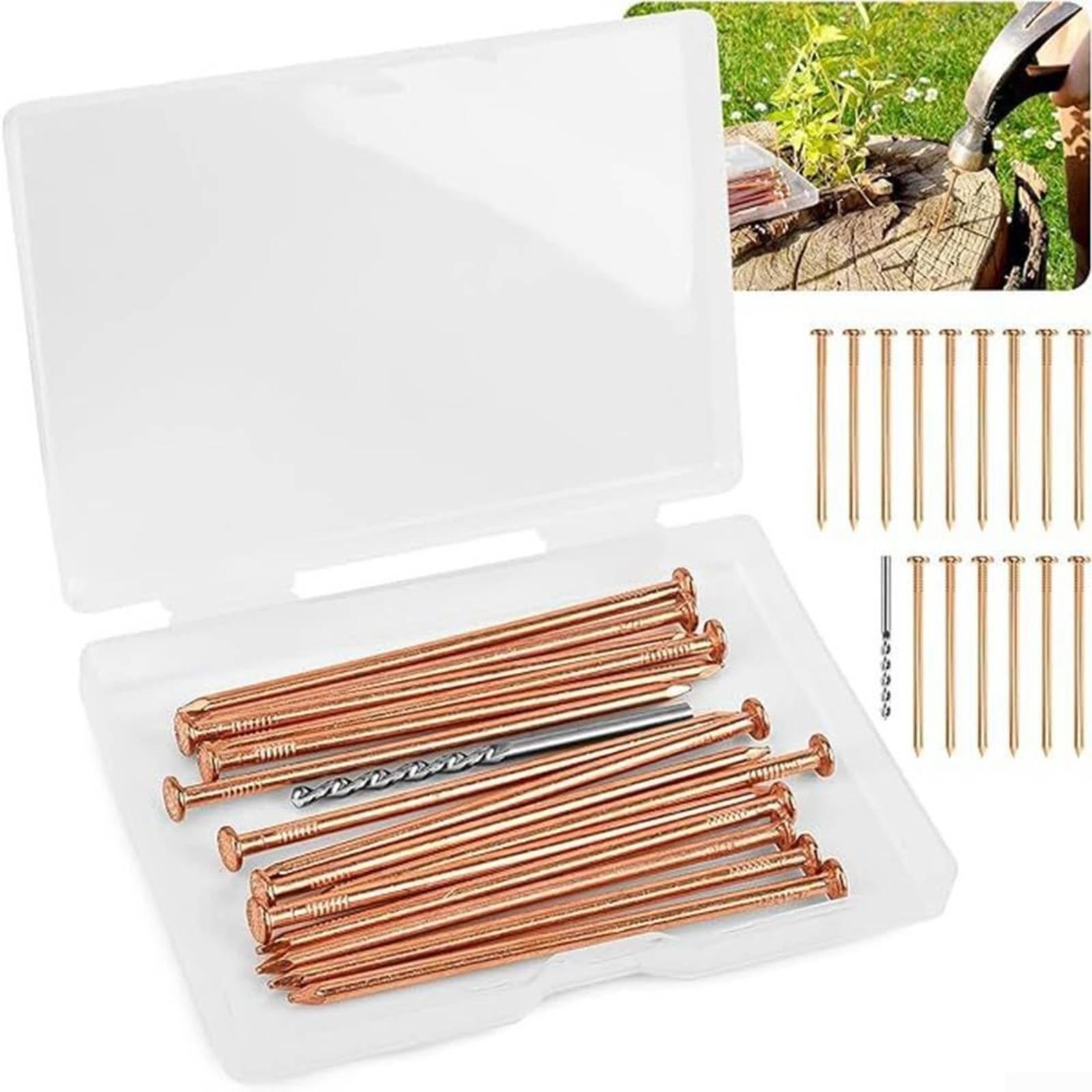 Tree Stump Nails Professional  - Heavy Equipment Landscaping recension och pris